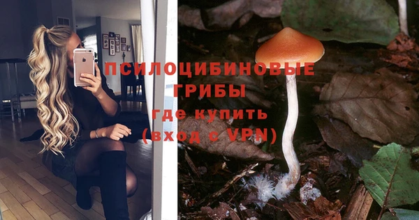 героин Алзамай