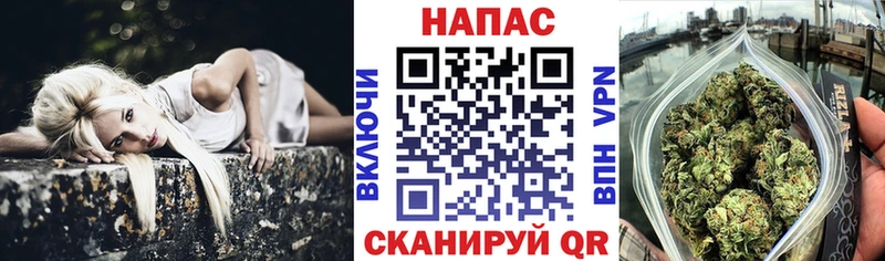 Каннабис гибрид  hydra tor  Выкса 